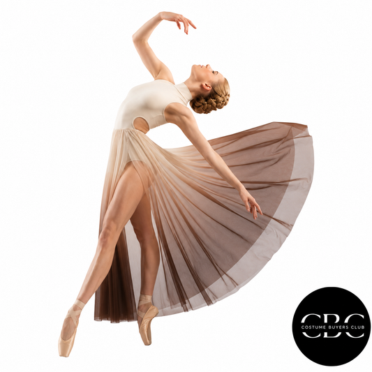 Ombre Drift – Lyrical Dance Costume – Costume Buyers Club